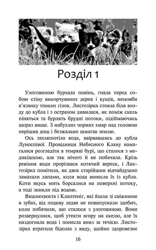 Коты-воители. Судьба Небесного Клана. Специальное издание / Эрин Хантер