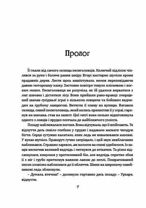 Колдун из Княжграда. Комплект из 3-х книг / Сергей Пильтяй
