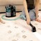 Фото - Моющий пылесос Cecotec Conga 6000 Carpet&Spot Clean XL (A01_EU01_122354) | click.ua
