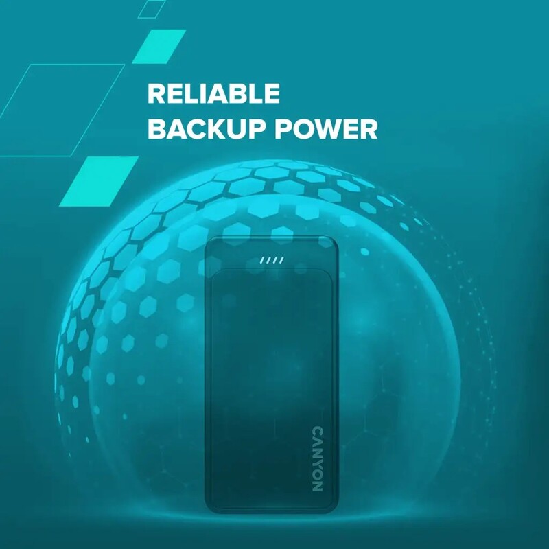 Універсальна мобільна батарея Canyon OnPower 100 10000mAh Black (CNS-CPB100B)