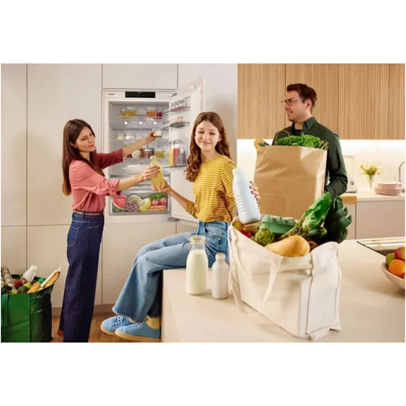 Встраиваемый холодильник Gorenje NRKI619D61WFE