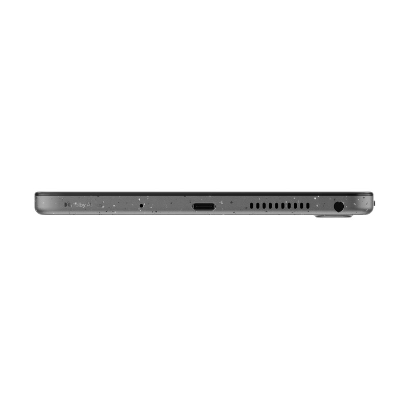 Планшет Lenovo Idea Tab TB336FU 4/128GB Luna Grey + Case&Pen (ZAFR0375UA)