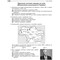 Фото - Экспресс-подготовка к НМТ. История Украины | click.ua