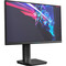Фото - Монітор Thunderobot 24.5" LF25F240L (JT00EC00R) IPS Black 240Hz | click.ua