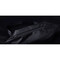Фото - Поясна сумка Xiaomi Sports Fanny Pack Black | click.ua
