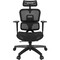 Фото - Кресло офисное Proove CEO Black (ECCE0001001) | click.ua