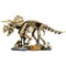 Фото - Конструктор LEGO Jurassic World Скам`янілості динозаврів: трицератопс (77985) | click.ua