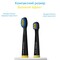 Фото - Насадки для зубной щетки Pecham Travel Black (4820301550051) | click.ua