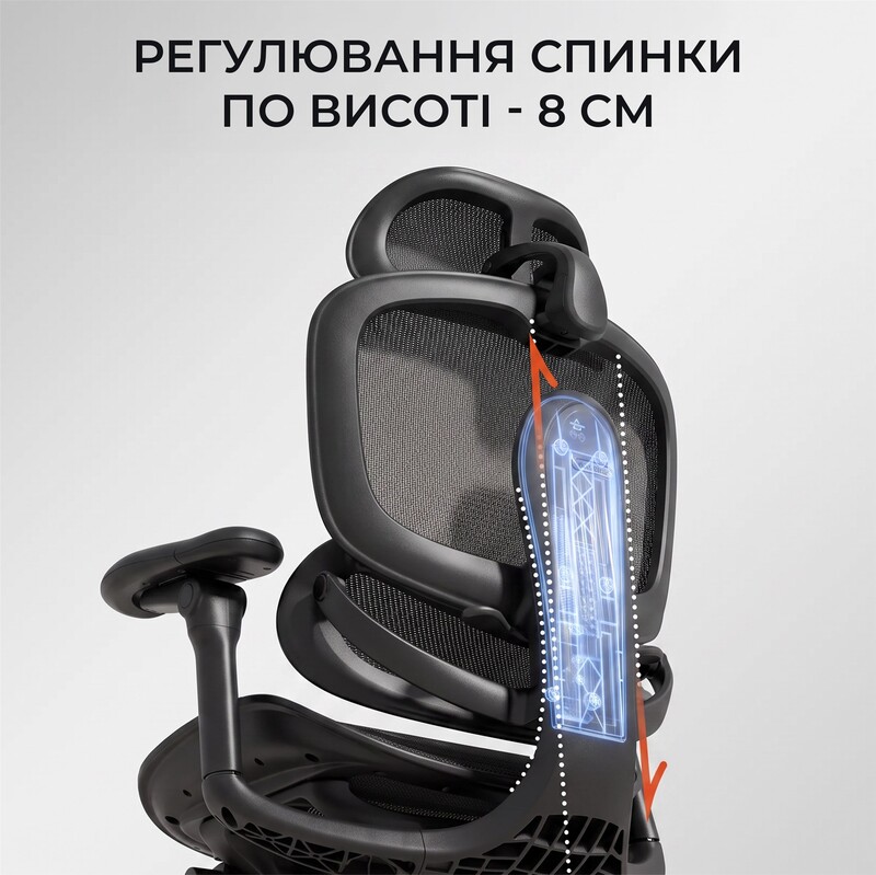 Крісло офісне Sihoo Doro C300 PRO V2 Black з підставкою для ніг (C300-PRO-V2-B101-JT)