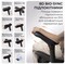Фото - Крісло офісне Sihoo Doro C300 PRO V2 Black з підставкою для ніг (C300-PRO-V2-B101-JT) | click.ua