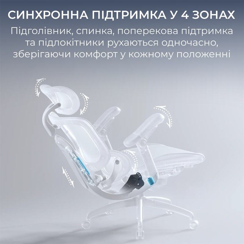 Крісло офісне Sihoo Doro C300 Lite V2 Black (C300-LITE-V2-B101)