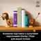 Фото - Конструктор LEGO Disney Pixar Книжкові підставки «Собачка Спіралька» з «Історії іграшок» (43301) | click.ua