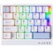 Фото - Клавіатура Ajazz AK029 Ice lsland Magnetic Switch White/Blue (AK029-I-WB) | click.ua