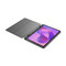 Фото - Планшет Lenovo Idea Tab TB336ZU 4/128GB 5G Luna Grey + Case&Pen (ZAFM0091UA) | click.ua