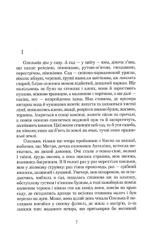 Сузір`я лебедя / Юрій Косач