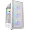 Фото - Корпус Cougar Airface Pure RGB White без БП | click.ua