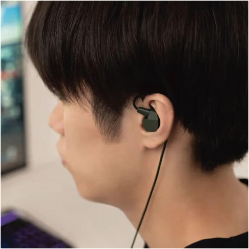 Наушники Final Audio VR2000 Black (90403551)