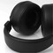 Фото - Навушники Final Audio DX3000 CL Black (90404208) | click.ua