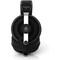 Фото - Навушники Final Audio DX3000 CL Black (90404208) | click.ua