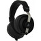 Фото - Навушники Final Audio DX3000 CL Black (90404208) | click.ua