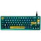 Фото - Клавiатура Thunderobot VIC68 TTC Ultra RGB King Magnetic Switch USB Parrot Green | click.ua