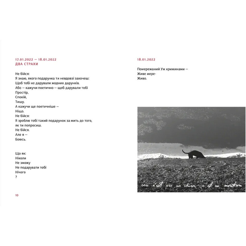 Primitivo / Мар`яна Прохасько