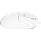 Фото - Миша Lorgar Advanced MSA10R USB White (LRG-MSA10R-WH) | click.ua