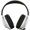 Фото - Гарнітура Canyon Ego GH-16 White (CND-SGHS16W) | click.ua