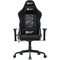Фото - Крісло для геймерів Canyon Shift MCCH01 Transformer Black (CNS-MCCH01) | click.ua