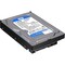 Фото - Накопитель HDD SATA 1.0TB WD Blue 7200rpm 64MB (WD10EZEX) | click.ua
