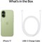 Фото - Смартфон Apple iPhone 17 512GB Sage (MG6V4AF/A) | click.ua
