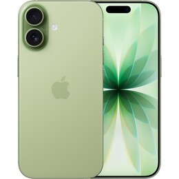 Смартфон Apple iPhone 17 512GB Sage (MG6V4AF/A)