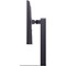 Фото - Монитор 24.5" LG UltraGear 25G550B-B (25G550B-B.ADRZ) IPS Black 300Hz | click.ua