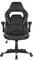 Фото - Кресло для геймеров 2E Gaming Hebi Black/White (2E-GC-HEB-BKWT) | click.ua