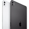 Фото - Планшет Apple iPad Pro 13 WiFi 256GB Silver (MDYK4TY/A) | click.ua