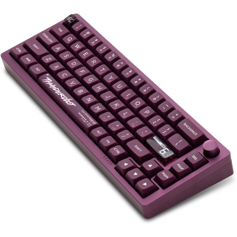 Клавиатура Thunderobot VIC68 Gateron Magnetic Jade Switch USB UA Purple (6932066317201)