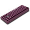 Фото - Клавиатура Thunderobot VIC68 Gateron Magnetic Jade Switch USB UA Purple (6932066317201) | click.ua