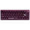 Фото - Клавиатура Thunderobot VIC68 Gateron Magnetic Jade Switch USB UA Purple (6932066317201) | click.ua