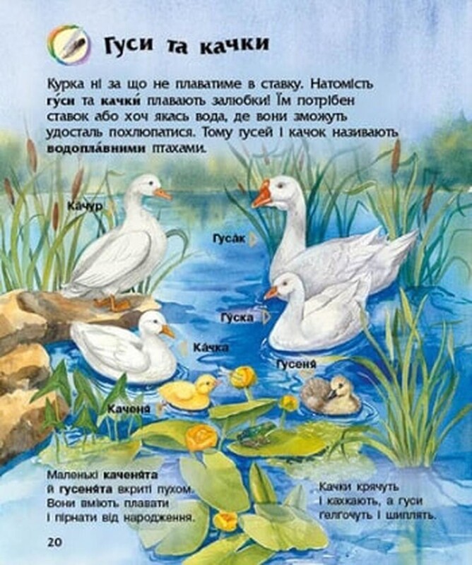 Енциклопедія дошкільника. Свійські тварини / Юлія Каспарова