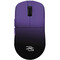 Фото - Миша бездротова Proove Gaming Taipan Max Black/Purple (WMTPM0022016) | click.ua