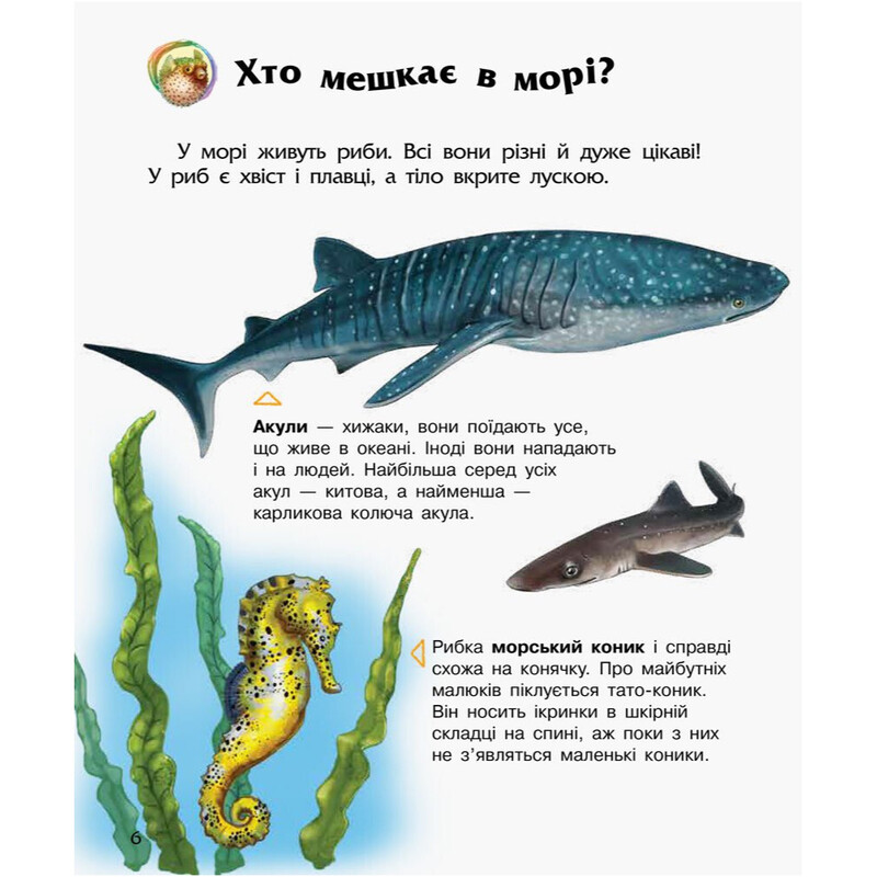 Енциклопедія дошкільника. Океани та моря / Юлія Каспарова