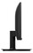 Фото - Монитор Philips 21.5" 221V8/00 VA Black | click.ua