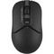 Фото - Мышь беспроводная A4Tech FB12 Black USB | click.ua