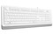 Фото - Клавіатура A4Tech FK10 Ukr White | click.ua