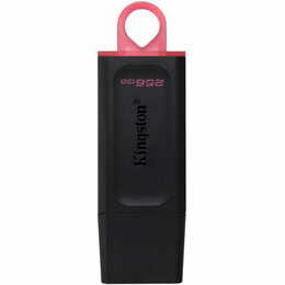 Флеш-накопичувач USB3.2 256GB Kingston DataTraveler Exodia Black/Pink (DTX/256GB)