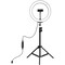 Фото - Кільцева USB LED-лампа Puluz PKT3035 10" + штатив 1.1 м (PKT3035) | click.ua