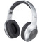 Фото - Bluetooth-гарнітура Panasonic RB-HX220BEE-S Silver | click.ua