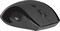 Фото - Мышь беспроводная Defender Accura MM-295 Black (52295) | click.ua