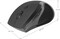 Фото - Мышь беспроводная Defender Accura MM-295 Black (52295) | click.ua