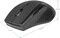 Фото - Миша бездротова Defender Accura MM-365 Black (52365) | click.ua